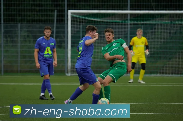 沙巴官方网站平台生态图